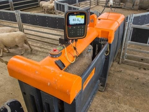 Características Sheep Auto Drafter