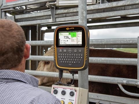 Utilização balança animal TWR-5