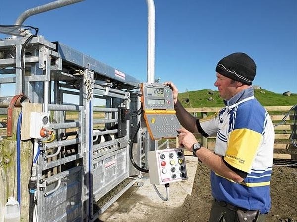 Utilização balança animal W210