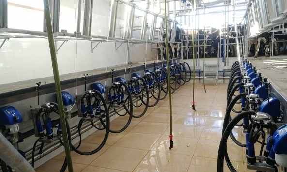 SAC_Sociedade Agrícola Alves da Costa2