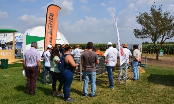 SheepAutoDrafter Agroglobal2