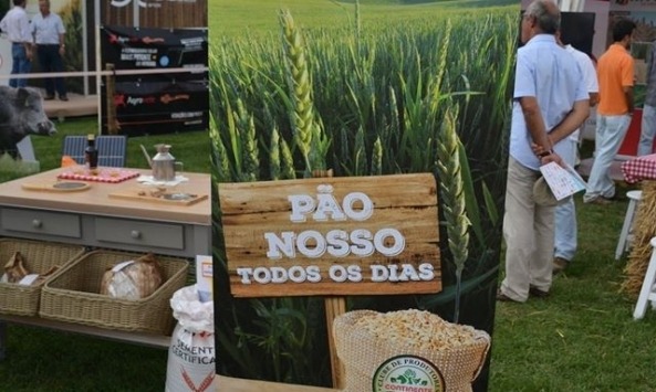 Agroglobal Clube de Produtores2