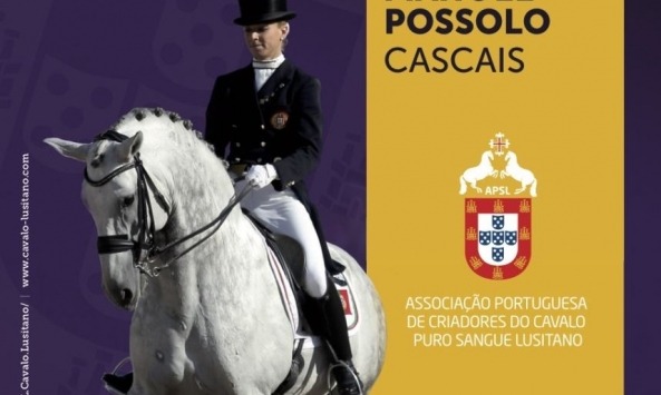 cavalo lusitano 2018