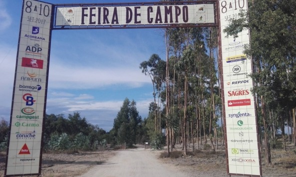 feira campo torrinha