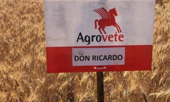 Dia de Campo CERSUL6