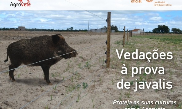 javalis