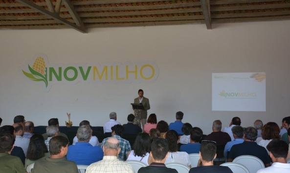InovMilho4