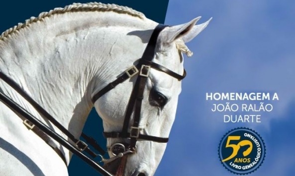 festival cavalo lusitano 2017