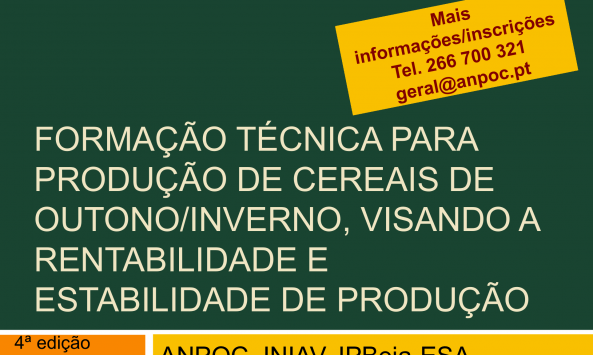 Cereais Formação