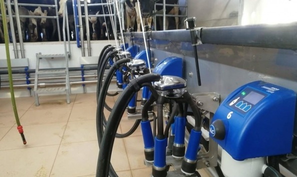 SAC_Sociedade Agrícola Alves da Costa1