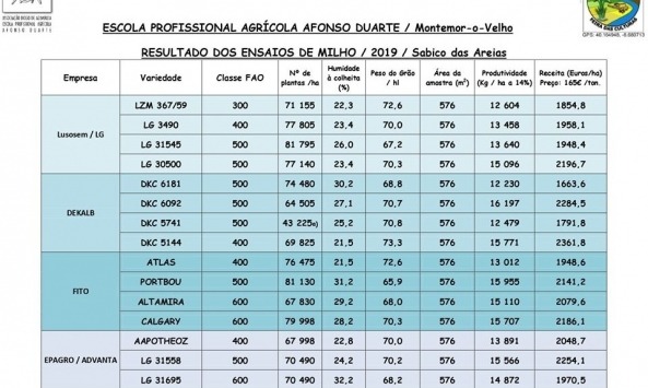 ensaios baixo mondego