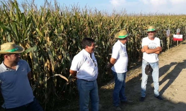 montemor_Agrovete RAGT2