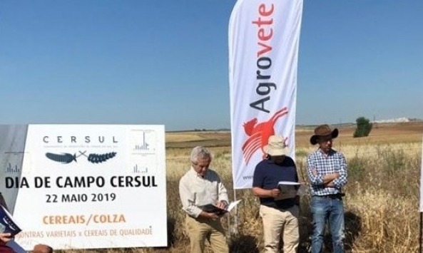 Dia de Campo CERSUL1