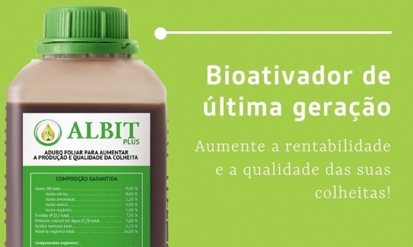 Albit