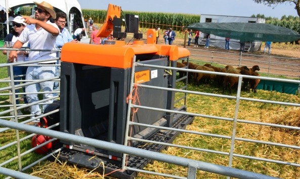 SheepAutoDrafter Agroglobal3