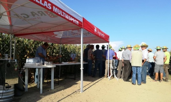 montemor_Agrovete RAGT3