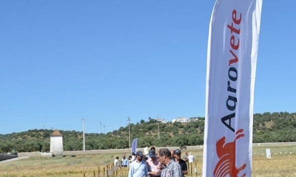 INIAV Elvas14
