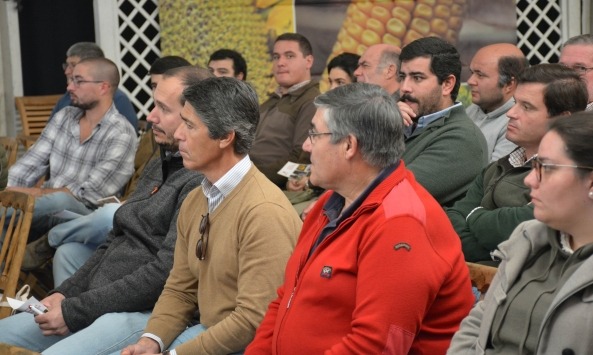 agrovete-milho-2023_4
