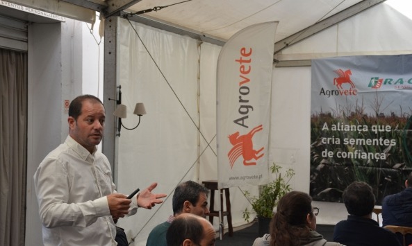 agrovete-milho-2023_7