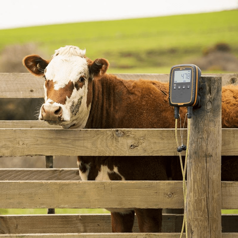 Agrovete - Balança eletrónica W-0 7