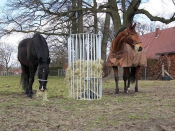 Agrovete - Manjedoura circular para cavalos 3
