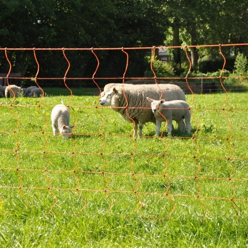 Agrovete - Rede Elétrica Ovelhas 0,90 m com estaca dupla x 50m 9