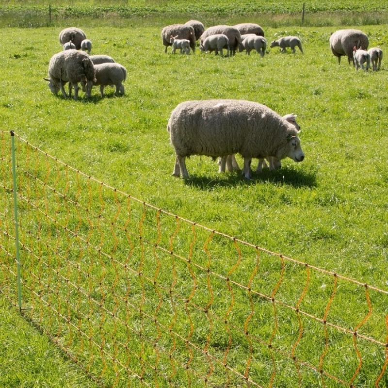 Agrovete - Rede Elétrica Ovelhas 0,90 m com estaca dupla x 50m 3