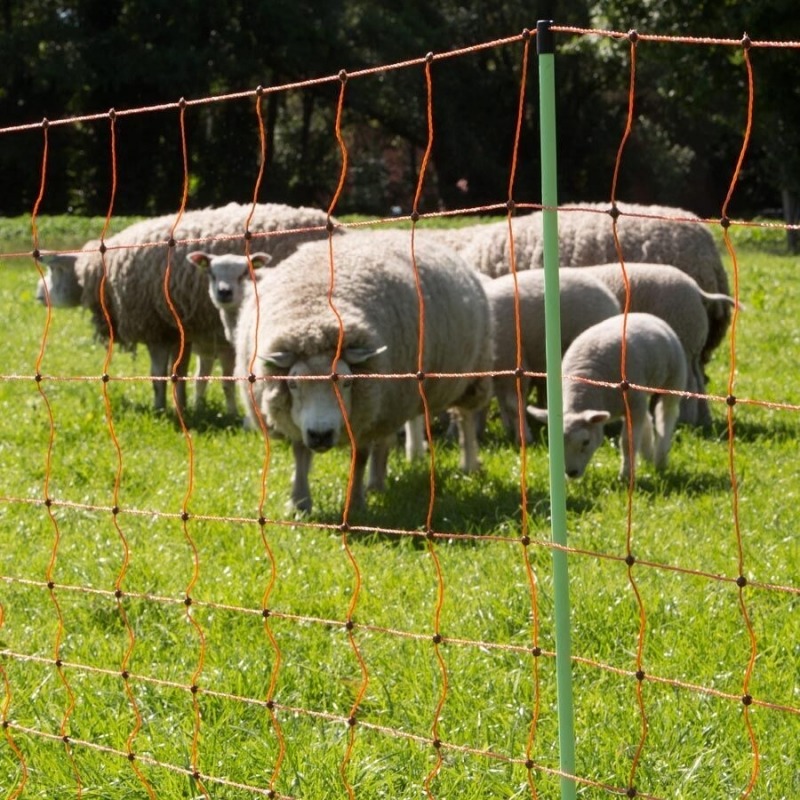 Agrovete - Rede Elétrica Ovelhas 0,90 m com estaca dupla x 50m 4