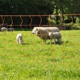 Agrovete - Rede Elétrica Ovelhas 0,90 m com estaca dupla x 50m 9 Thumb