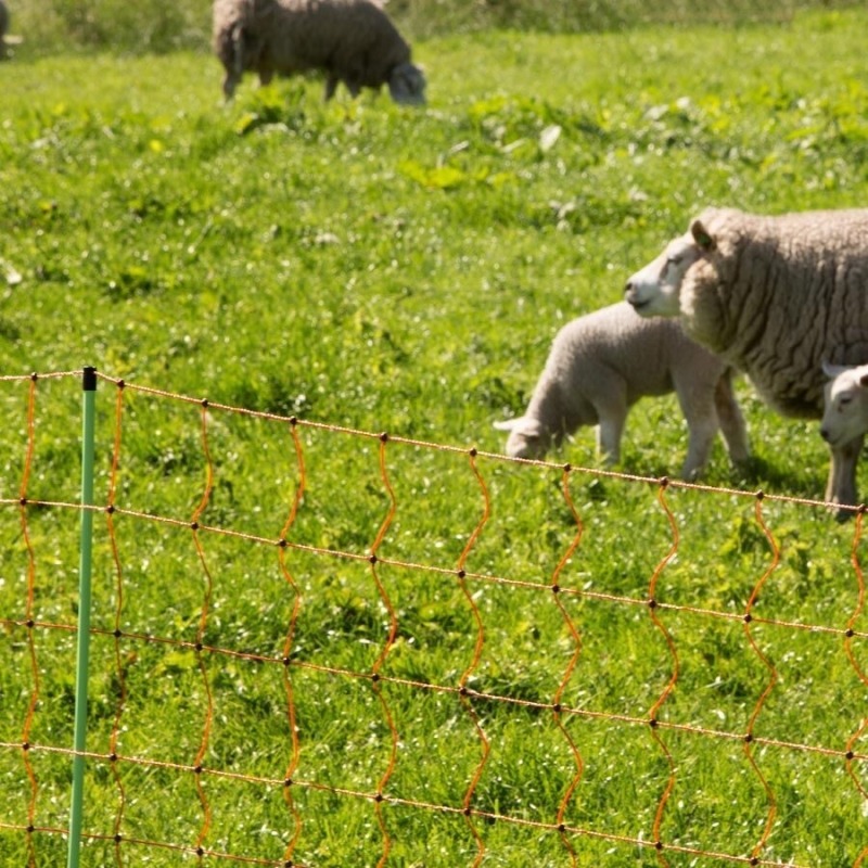 Agrovete - Rede Elétrica Ovelhas 0,90 m com estaca dupla x 50m 2