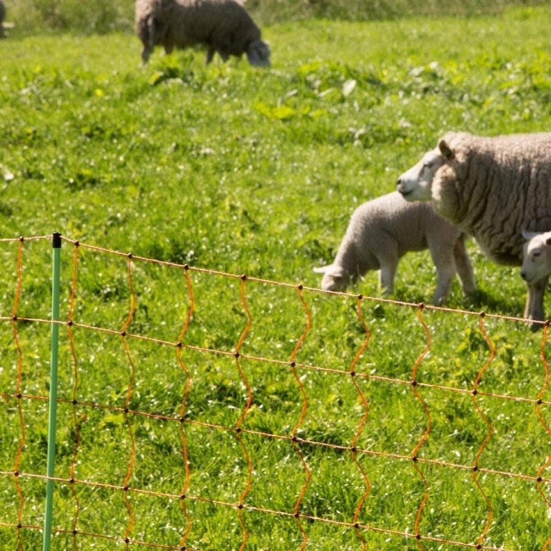 Agrovete - Rede Elétrica Ovelhas 0,90 m com estaca dupla x 50m 2