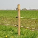 Agrovete - Isolador de Rosca IVA XDI - 25 uni. 6 Thumb