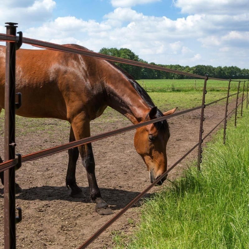Agrovete - Poste Horse Castanho 1,55m - 5 uni. 2