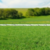 Agrovete - Fio 6 condutores branco 250 m 2 Thumb